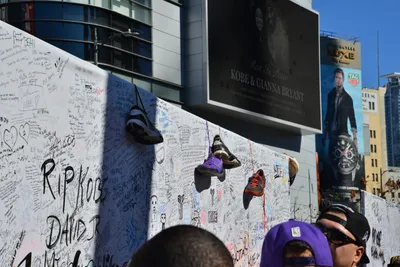 DSC_7145 (Large).JPG